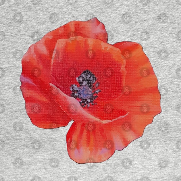 Poppy flower painting (no background) by EmilyBickell